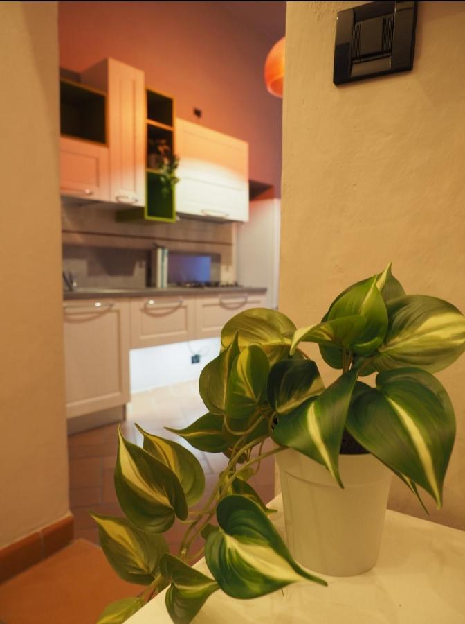 Il Nido Dell'Aquila By Francigenaapartments 锡耶纳 外观 照片